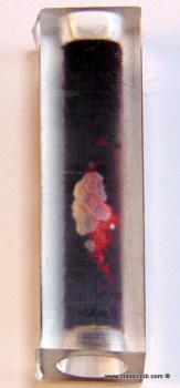 DSC03293